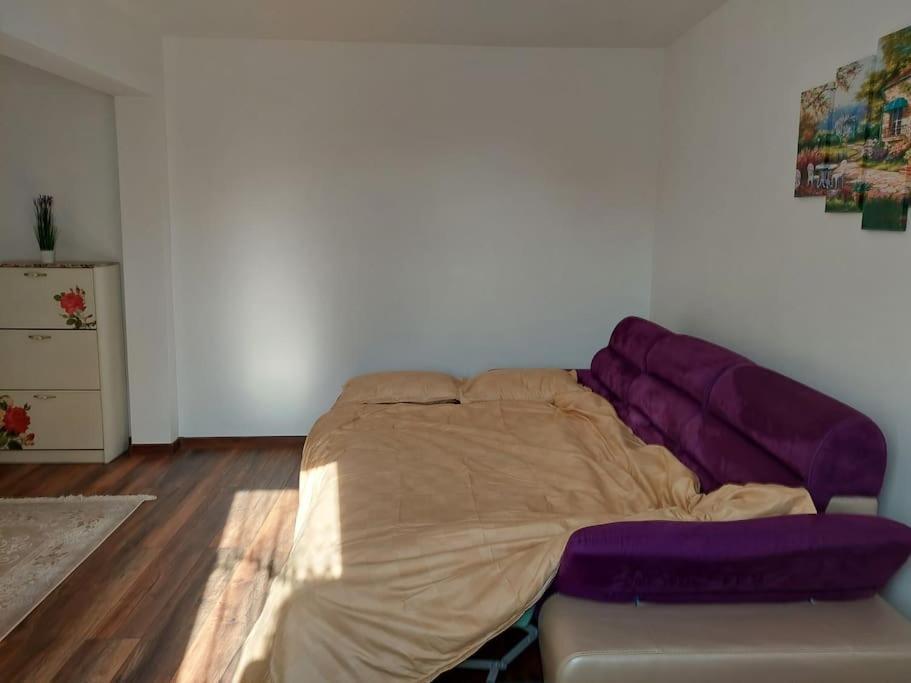 Appartamento Apartament In Sighetu Marmaţiei Esterno foto